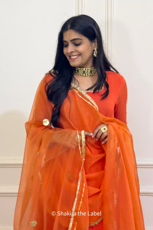 Amber Mirage Georgette Anarkali